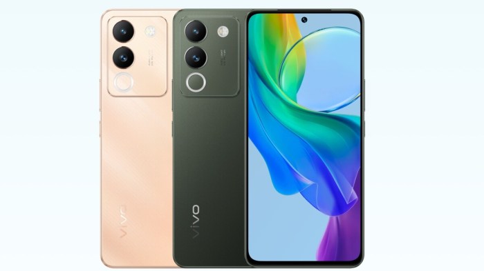 Vivo Y200 Plus