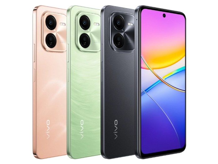 Vivo Y200 Plus