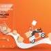 Trik Aman Belanja Gadget Online